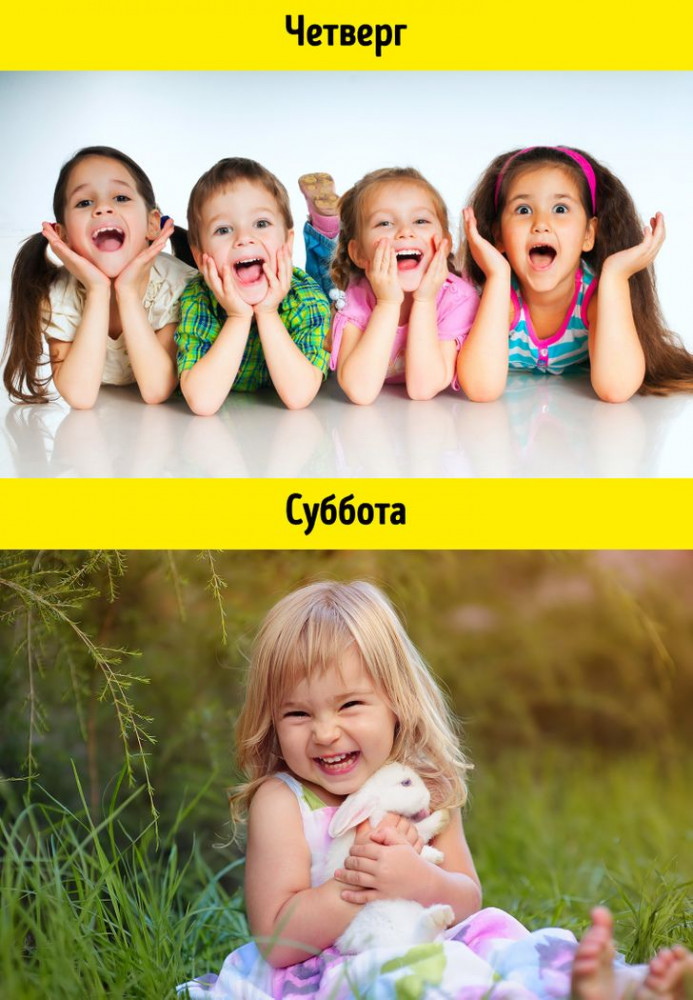 Интересные факты статистики от компания AVSEO